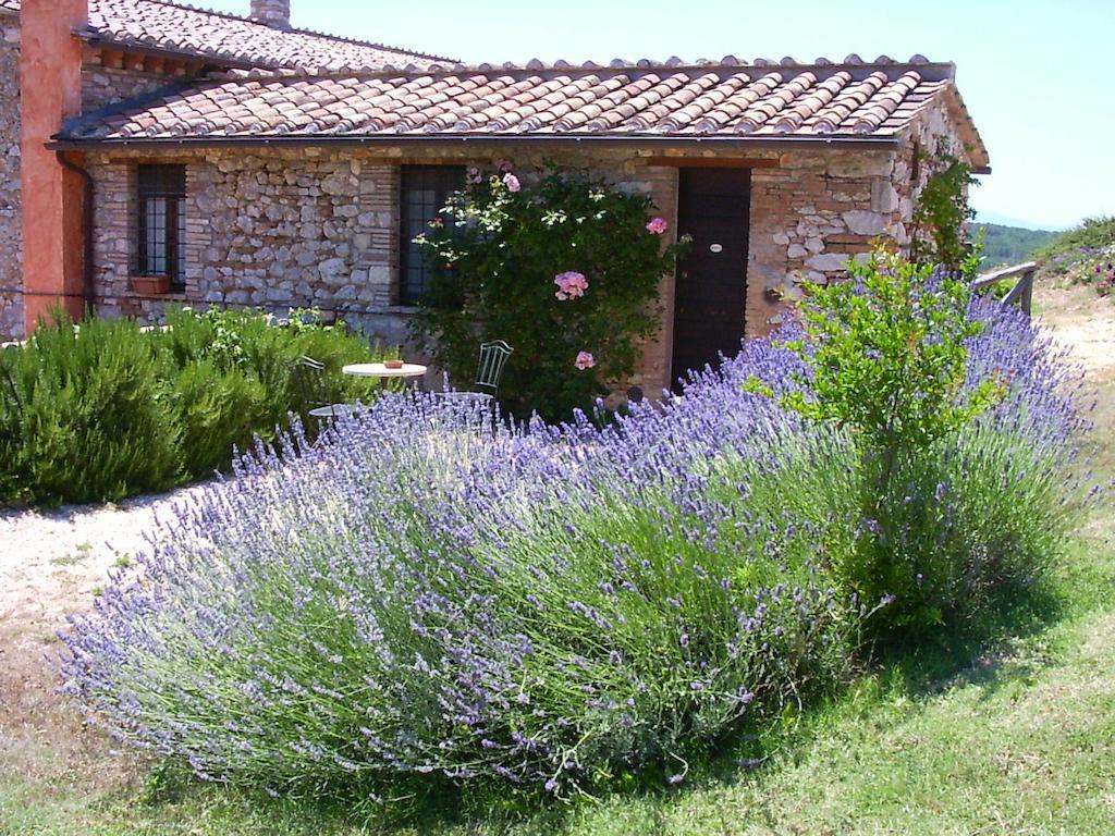 Podere Costa Romana Нарні Екстер'єр фото